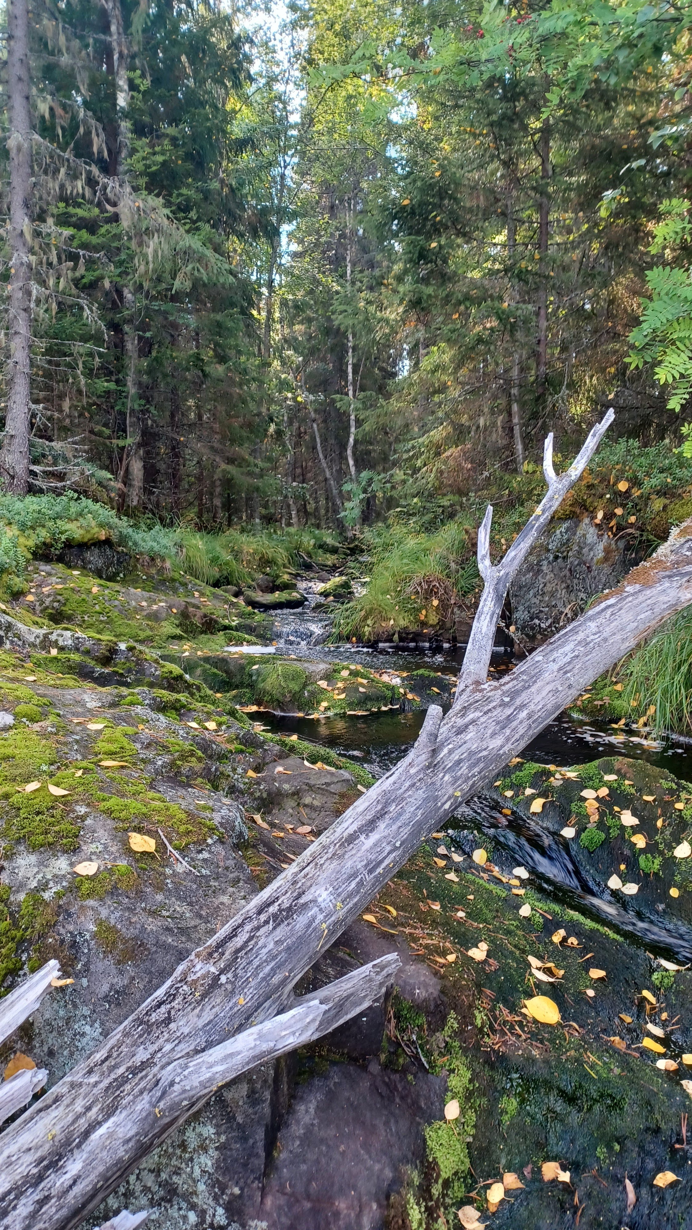Peipospuron Kohiseva Waterfall
